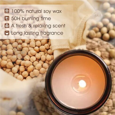 Cool Aunt Candle Gifts from Niece Nephew, Birthday Candle Gift for Aunt, Cool Aunt Scented Candle, Natural Soy Wax, 7oz Cool Aunt Birthday Gifts from Niece Nephew Funny Idea Gift for Aunts in Kuwait