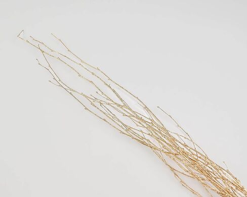 مصنوعات الأزهار الخضراء - فروع البتولا الذهبية بطول 3-4 أقدام مثالية للمزهريات الأرضية والقطع المركزية والترتيبات (ذهبي، 10-12 سيقان) in Kuwait