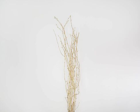مصنوعات الأزهار الخضراء - فروع البتولا الذهبية بطول 3-4 أقدام مثالية للمزهريات الأرضية والقطع المركزية والترتيبات (ذهبي، 10-12 سيقان) in Kuwait