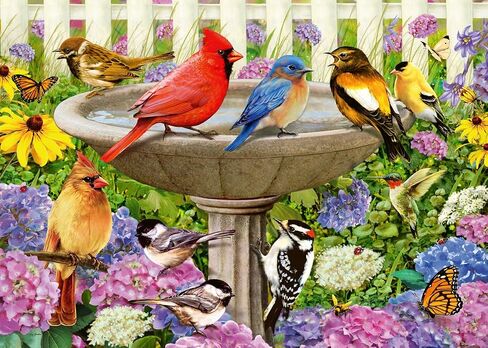 لغز الصور المقطوعة كبير الحجم من Ravensburger at The Birdbath 500 قطعة للبالغين - 16793 - كل قطعة فريدة من نوعها، تقنية Softclick تعني أن القطع تتناسب معًا بشكل مثالي in Saudi Arabia