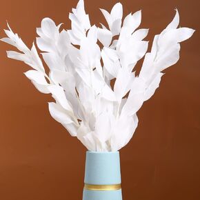 Dried Orange Banyan Italian Ruscus Leaves, 17'' Preserved Natural Real Eucalyptus Leaves Branches, Dry Plants for Home Wedding Party Vase Flowers Bouquet, DIY Wreath Floral Arrangements (5pcs, White)
