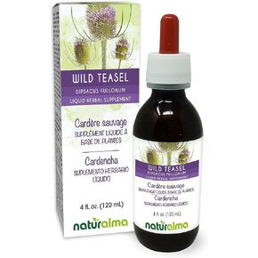 Naturalma Wild teasel or Fuller's teasel (Dipsacus fullonum or D. sylvestris) root Alcohol-free Tincture - 4 fl oz Liquid extract in drops - Herbal supplement - Vegan