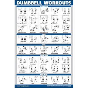 Palace Learning Dumbbell Workout Exercise Poster - Free Weight Body Building Guide | Home Gym Chart - LAMINATED, 18" x 24"