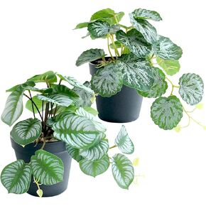 2 Pack Fake Potted Plants, Artificial Plants with Plastic Pots Fake Pothos Faux Plants Indoor Outdoor Decor Home Room Shelf Office Desk Plants