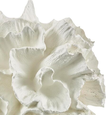 Deco 79 Resin Coral Decorative Sculpture Textured Home Decor Statue, Accent Figurine 9" x 9" x 9", Cream in Saudi Arabia