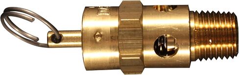 Milton 1090-200 1/4" MNPT ASME Safety Valve - 200 PSI Pop off Pressure in Kuwait