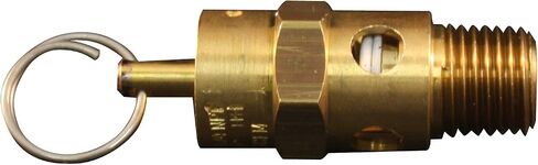 Milton 1090-200 1/4" MNPT ASME Safety Valve - 200 PSI Pop off Pressure in Kuwait