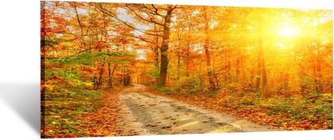 KREATIVE ARTS Large Wall Art Fall Scenery Canvas Prints Panorama Forest in Vibrant Warm Colors Sun Shining Through Leaves Pictures Autumn HD Printed Painting Framed Art Works Home Walls 48x20 in Saudi Arabia