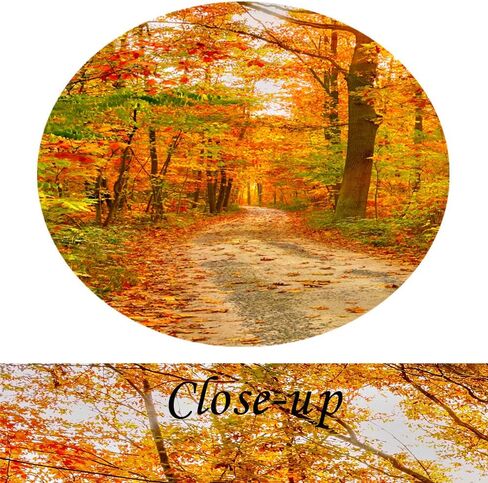 KREATIVE ARTS Large Wall Art Fall Scenery Canvas Prints Panorama Forest in Vibrant Warm Colors Sun Shining Through Leaves Pictures Autumn HD Printed Painting Framed Art Works Home Walls 48x20 in Saudi Arabia