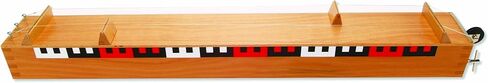 3B العلمية U15100 مظاهرة Monochord in Saudi Arabia