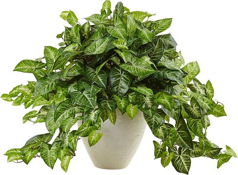 Nearly Natural Nephtytis 1 Nephthytis Artificial Plant, Green in Saudi Arabia