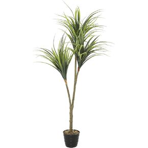 Deco 79 Faux Foliage Dracaena Indoor Outdoor Artificial Plant with Round Fluted Pot, 31" x 31" x 55", Green