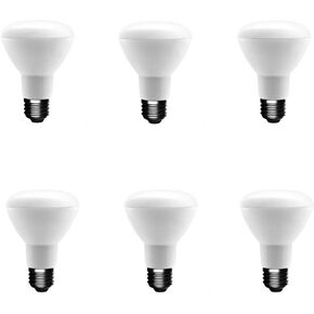 EcoSmart 50-Watt Equivalent R20 Dimmable Energy Star LED Light Bulb Soft White (6-Pack)