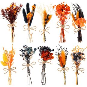10 حزمة من الزهور المجففة باقة من الزهور المجففة باللون الأسود والبرتقالي الطبيعي مع سيقان زهور صغيرة مجففة منقوشة زهور اصطناعية لتزيين الهالوين، ديكور خريف الخريف، مزهرية، زفاف in Kuwait