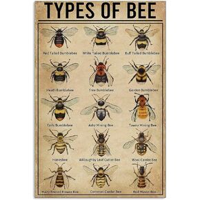 Types of Bee Retro Nostalgic Art Print Poster Tin Sign Cafe Bar Metal Sign Garage Plaque 8x12 Inches