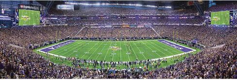 Masterpieces NFL Unisex Stadium Panoramic Jigsaw Puzzle, 1000-Piece in Saudi Arabia