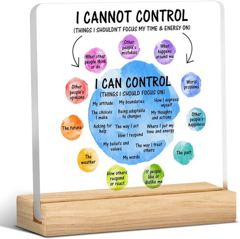 Mental Health Desk Decor I Can Control Mindfulness Acrylic Desk Plaque Sign I Cannot Control Clear Desk Decorative Sign for Therapy Office Home Classroom in Saudi Arabia