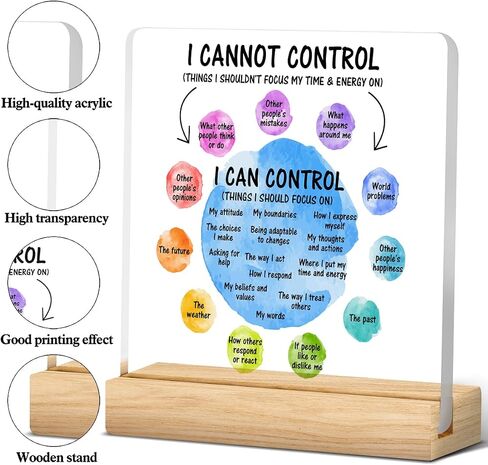 Mental Health Desk Decor I Can Control Mindfulness Acrylic Desk Plaque Sign I Cannot Control Clear Desk Decorative Sign for Therapy Office Home Classroom in Saudi Arabia