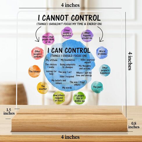 Mental Health Desk Decor I Can Control Mindfulness Acrylic Desk Plaque Sign I Cannot Control Clear Desk Decorative Sign for Therapy Office Home Classroom in Saudi Arabia