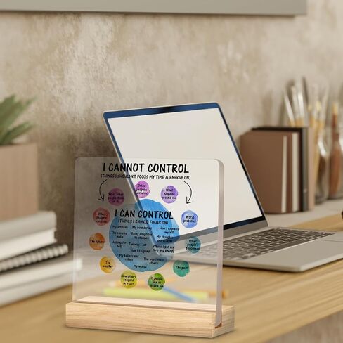 Mental Health Desk Decor I Can Control Mindfulness Acrylic Desk Plaque Sign I Cannot Control Clear Desk Decorative Sign for Therapy Office Home Classroom in Saudi Arabia