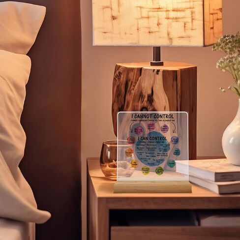 Mental Health Desk Decor I Can Control Mindfulness Acrylic Desk Plaque Sign I Cannot Control Clear Desk Decorative Sign for Therapy Office Home Classroom in Saudi Arabia