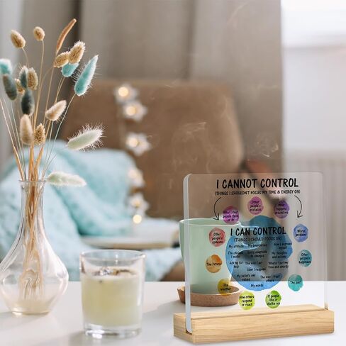 Mental Health Desk Decor I Can Control Mindfulness Acrylic Desk Plaque Sign I Cannot Control Clear Desk Decorative Sign for Therapy Office Home Classroom in Saudi Arabia