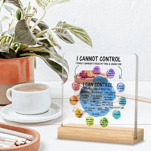 Mental Health Desk Decor I Can Control Mindfulness Acrylic Desk Plaque Sign I Cannot Control Clear Desk Decorative Sign for Therapy Office Home Classroom in Saudi Arabia