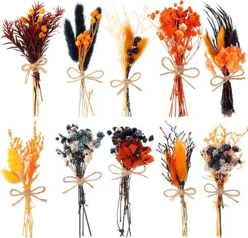 10 حزمة من الزهور المجففة باقة من الزهور المجففة باللون الأسود والبرتقالي الطبيعي مع سيقان زهور صغيرة مجففة منقوشة زهور اصطناعية لتزيين الهالوين، ديكور خريف الخريف، مزهرية، زفاف in Kuwait