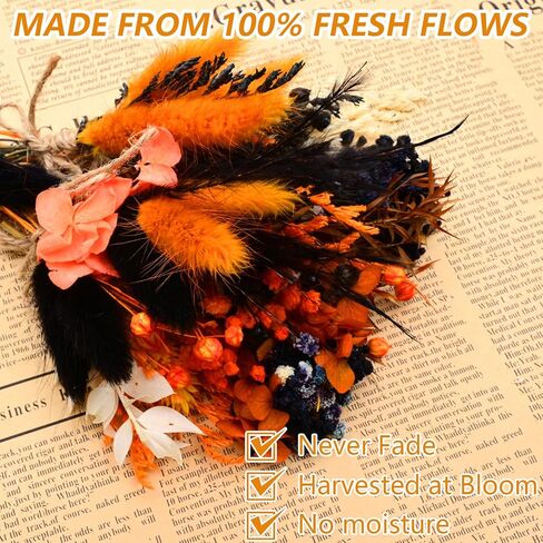 10 حزمة من الزهور المجففة باقة من الزهور المجففة باللون الأسود والبرتقالي الطبيعي مع سيقان زهور صغيرة مجففة منقوشة زهور اصطناعية لتزيين الهالوين، ديكور خريف الخريف، مزهرية، زفاف in Kuwait