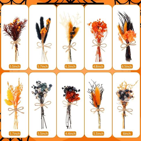 10 حزمة من الزهور المجففة باقة من الزهور المجففة باللون الأسود والبرتقالي الطبيعي مع سيقان زهور صغيرة مجففة منقوشة زهور اصطناعية لتزيين الهالوين، ديكور خريف الخريف، مزهرية، زفاف in Kuwait