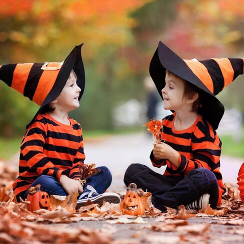 10 حزمة من الزهور المجففة باقة من الزهور المجففة باللون الأسود والبرتقالي الطبيعي مع سيقان زهور صغيرة مجففة منقوشة زهور اصطناعية لتزيين الهالوين، ديكور خريف الخريف، مزهرية، زفاف in Kuwait