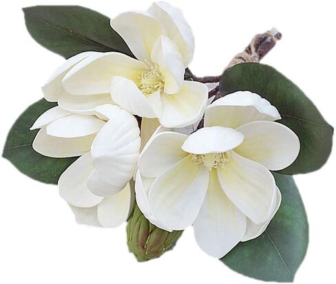 Leadigol 3Pcs Artificial Magnolia Flowers,White Silk Artificial Magnolia Flowers Decoration Bouquet,Long Stem Magnolia Bouquet,for Wedding Party Home in Saudi Arabia