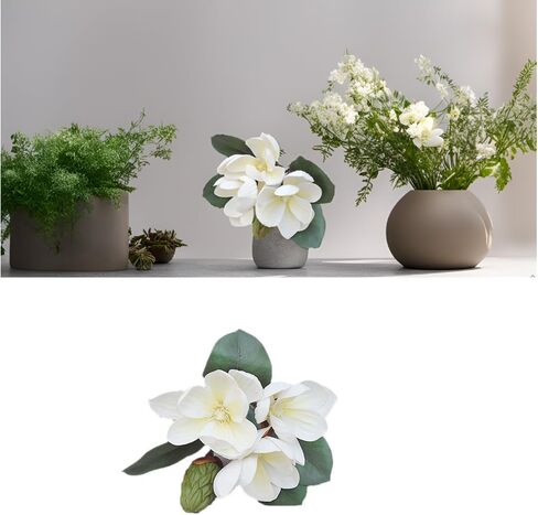 Leadigol 3Pcs Artificial Magnolia Flowers,White Silk Artificial Magnolia Flowers Decoration Bouquet,Long Stem Magnolia Bouquet,for Wedding Party Home in Saudi Arabia