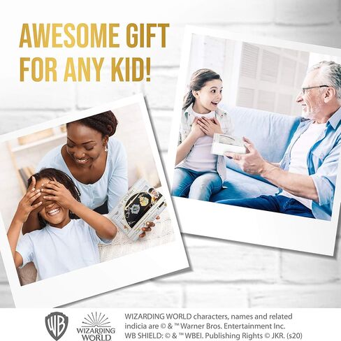 بي.ام.اي مجموعة سلاسل مفاتيح هاري بوتر مكونة من 6 قطع - تتضمن اللورد فولدمورت وسيفيروس سناب وعصا لوسيوس مالفوي وغيرها - هدايا هاري بوتر وميرش واكسسوارات وهدايا الحفلات من بي ام اي، ذهبي، مجموعة من 6 in Kuwait