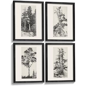 LITIVY Set of 4 Framed Wall Art Farmhouse Tree Prints Wall Decor Black and White Botanical Wall Arts Rustic Minimalist Wall Decor