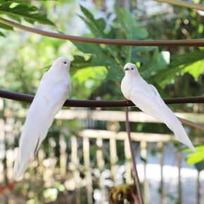 2pcs Clip on Foam Feathered Artificial Birds Small White Birds Peace Love Doves 5-Inch for Crafts Christmas Wedding Centerpieces Cake Ornaments Wreath Decorations Bird Cage Floral Arrangement Funeral