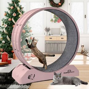 Homegroove Cat Wheels Cat Exercise Wheel for Indoor Cat, Cat Running Wheel with Carpeted Runway, Cat Treadmill Wheel for Kitty’s Longer Life, Plastic Cat Wheel for Fitness Weight