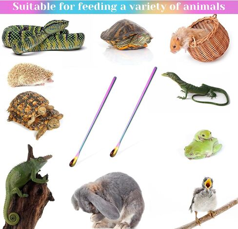 Abeillo 2Pcs Reptile Spoon, Stainless Steels Stirring Food Feeding Spoon, Long Handle Stirring Spoons, Powder Fruit Mixing Stirring Food Feeding Tool for Gecko Lizard Gargoyle Bearded Crested in Saudi Arabia