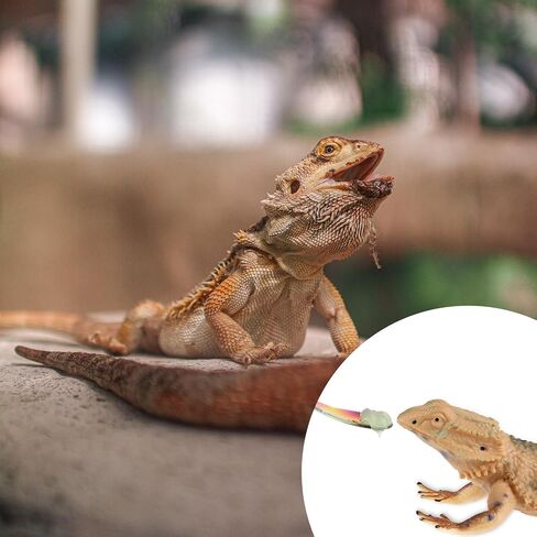 Abeillo 2Pcs Reptile Spoon, Stainless Steels Stirring Food Feeding Spoon, Long Handle Stirring Spoons, Powder Fruit Mixing Stirring Food Feeding Tool for Gecko Lizard Gargoyle Bearded Crested in Saudi Arabia