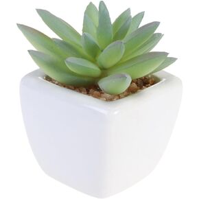 PRETYZOOM Artificial Succulents Plants Small Succulent Plants With White Pots Faux Fake Succulents Desktop Decorative Succulents For Home Office