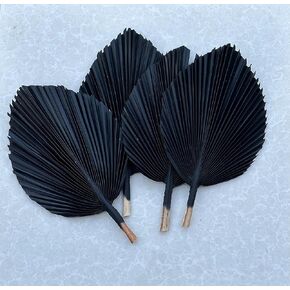 Natural Medium Dried Palm Leaves 1 Piece 14 Inches Dried Palm Spears Plant for Boho Style Art, Wall Hanging Ornament, Home Decor, Wedding Decor, Party Decoration (Pink Color Leaves)