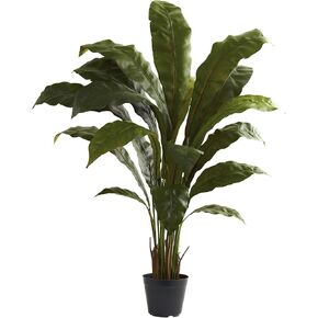 Nearly Natural 3.5ft. Birds nest Plant