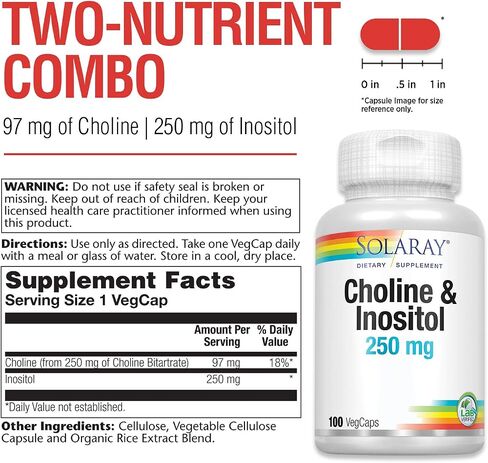 SOLARAY Choline & Inositol 250 mg | Two-Nutrient Combo for Healthy Fat Metabolism, Brain Function Support | 100 VegCaps | Pack of 2 in Saudi Arabia