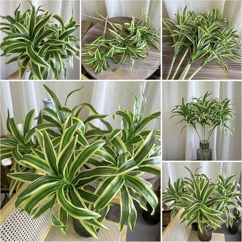 مجموعتان من النباتات الصناعية الداخلية ذات الحافة الذهبية Dracaena Reflexa مقاس 34 بوصة نباتات وهمية ناعمة ورقيقة للحديقة في الأماكن المغلقة - ذهبي أخضر in Kuwait
