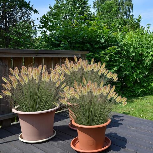 Artificial Grass,Fake Grass Artificial Shrubs Wheat Grass Greenery,Fake Grass Decor Artificial Plants Ornamental Grass Outdoor Fake Grass Green Leaves for Decoration(24PCS) in Saudi Arabia