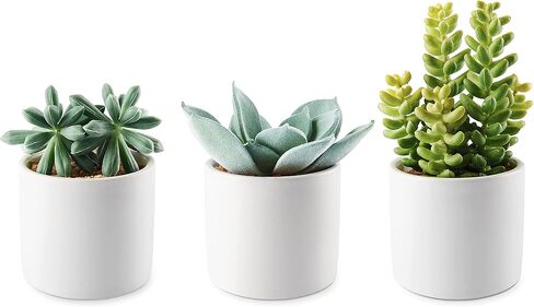 مجموعة نباتات نضرة صناعية مع أوعية سيراميك، 6 عبوات، نباتات صناعية صغيرة داخلية، نباتات وهمية واقعية لديكور المنزل وغرفة النوم والمكتب ورف الطاولة in Kuwait