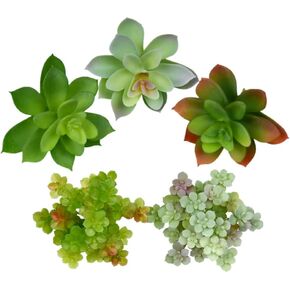 POANTA 5 Pack Assorted Artificial Succulents Plants Set Unpotted Faux Succulent Arrangement Home Garden Decor