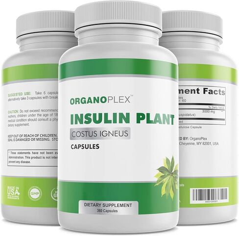 Insulin Plant Capsules (Costus Igneus), 100% Natural Supplement, 360 Veggie Caps (2 Month Supply) - Insulin Plant in Saudi Arabia