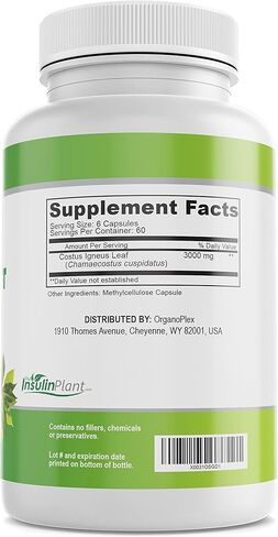 Insulin Plant Capsules (Costus Igneus), 100% Natural Supplement, 360 Veggie Caps (2 Month Supply) - Insulin Plant in Saudi Arabia