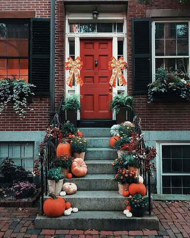 Thanksgiving Decorations Fall Wreath Bow - Orange Pumpkin Burlap Buffalo Plaid Bow Tree Topper Fall Thanksgiving Front Door Wreath Home Indoor Outdoor Decor(Thanksgiving Pumpkin) in Saudi Arabia